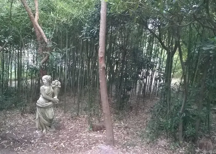 Villa Lou Mazet - Piscine Privée
