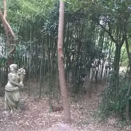 Villa Lou Mazet - Piscine Privee